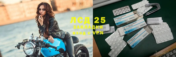 мдпв Богданович