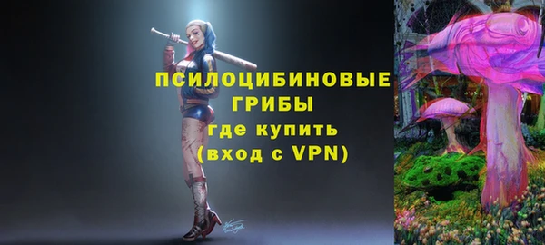 гидра Богородицк