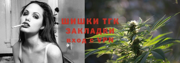 мдпв Богданович