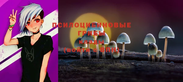 гидра Богородицк