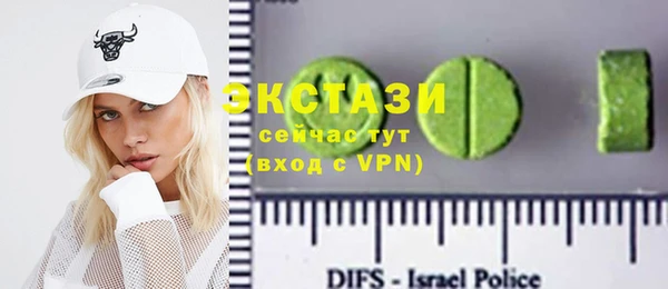 гидра Богородицк