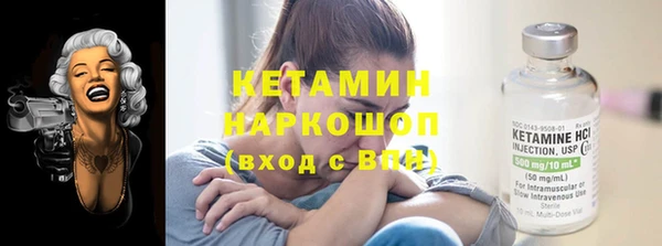 гидра Богородицк