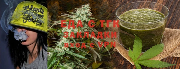 гидра Богородицк