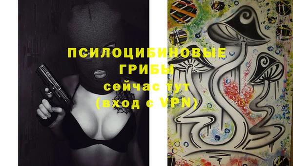 стафф Богородск
