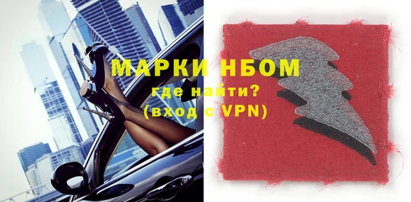гидра Богородицк
