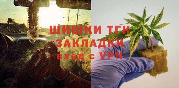 гидра Богородицк