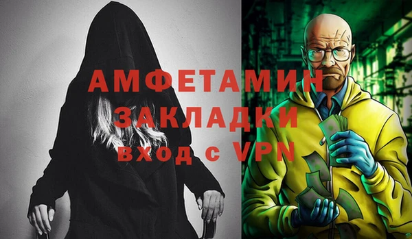 гидра Богородицк