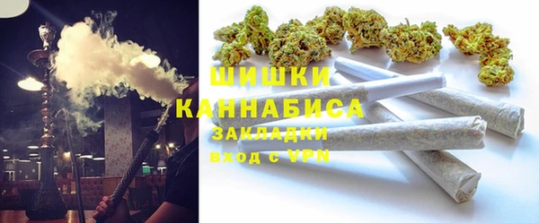 гидра Богородицк