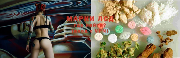 трава Ладушкин