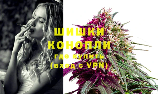 стафф Богородск